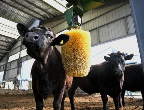 2025全国主流媒体滨州行|看全国主流媒体镜头里滨州产业升级